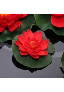 LOTUS TOHUMU KIRMIZI 5 ADET