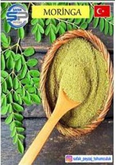 Moringa