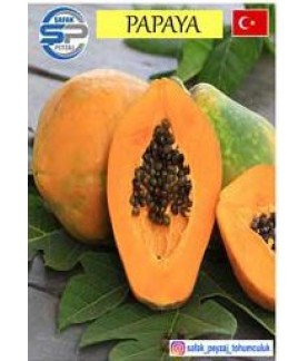 Papaya