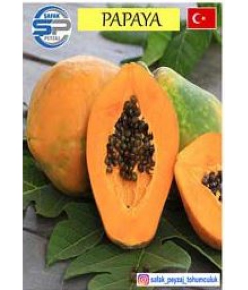 Papaya